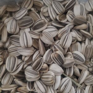 Sunflower Seats